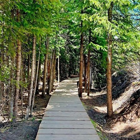 Cozy Studio With Shared Pool -3 Min To Ski Lift Breckenridge Ngoại thất bức ảnh